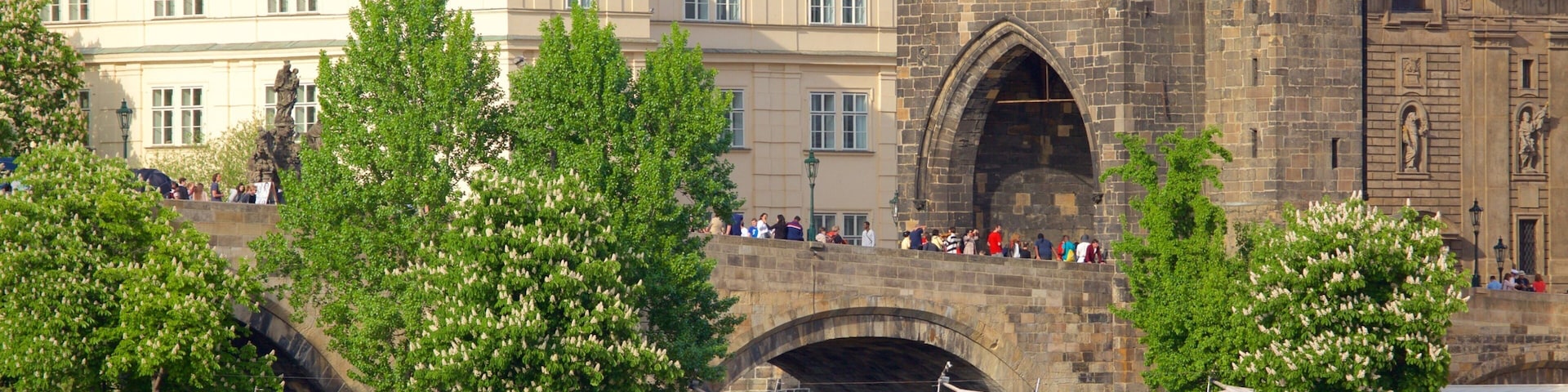 Old Town Bridge Tower mostrando uma cidade e elementos de patrimônio