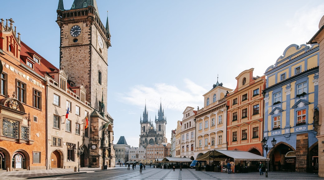Old Town Hall Tower featuring heritage architecture and a city