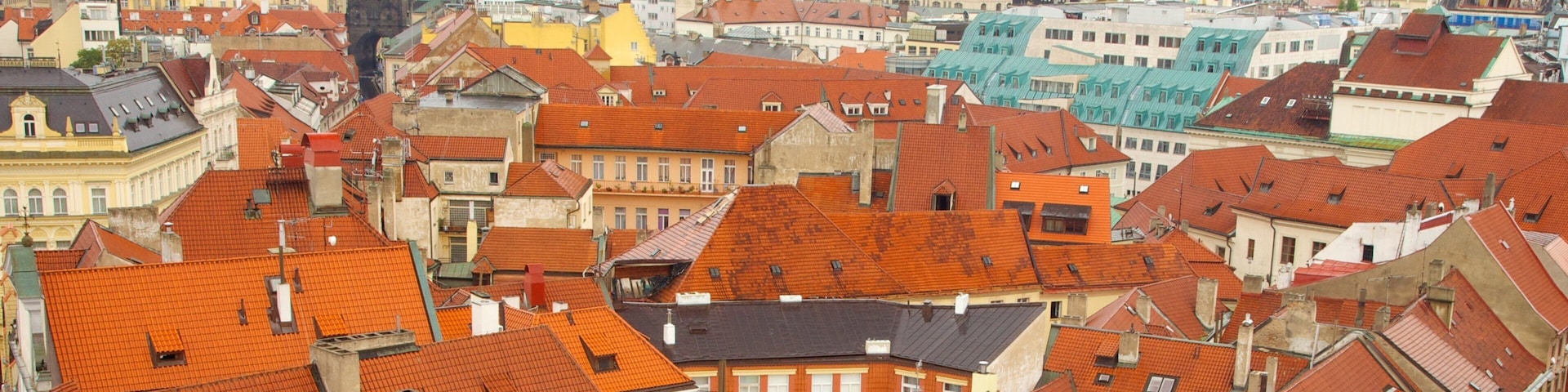 Powder Tower showing a city and heritage architecture