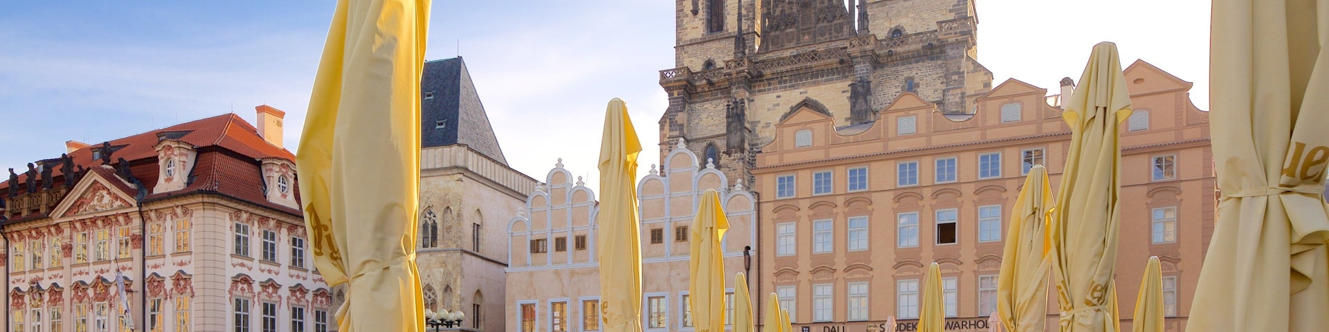 Tyn Cathedral featuring heritage architecture, a square or plaza and heritage elements