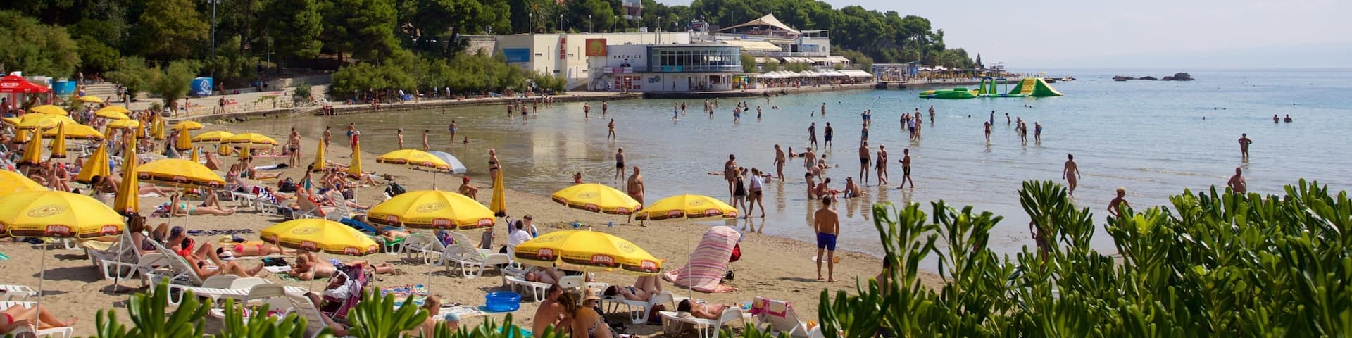 Plage de Bacvice qui includes vues littorales