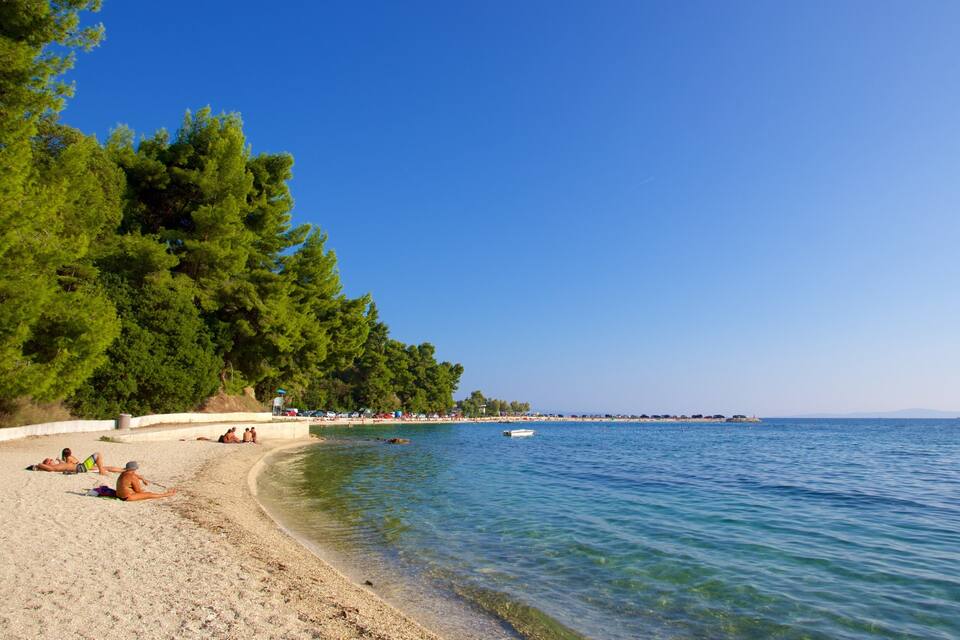 A beach with clear blue water, sandy shore, and dense green trees.
