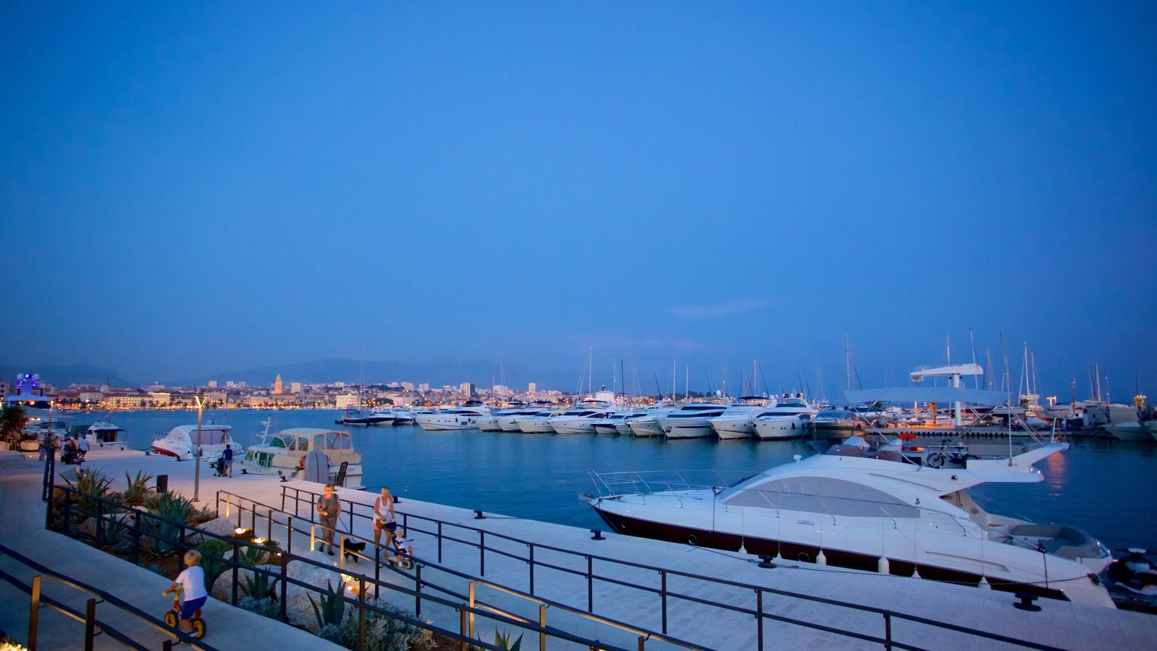 Puerto deportivo ofreciendo escenas nocturnas, embarcaciones y una bahía o un puerto
