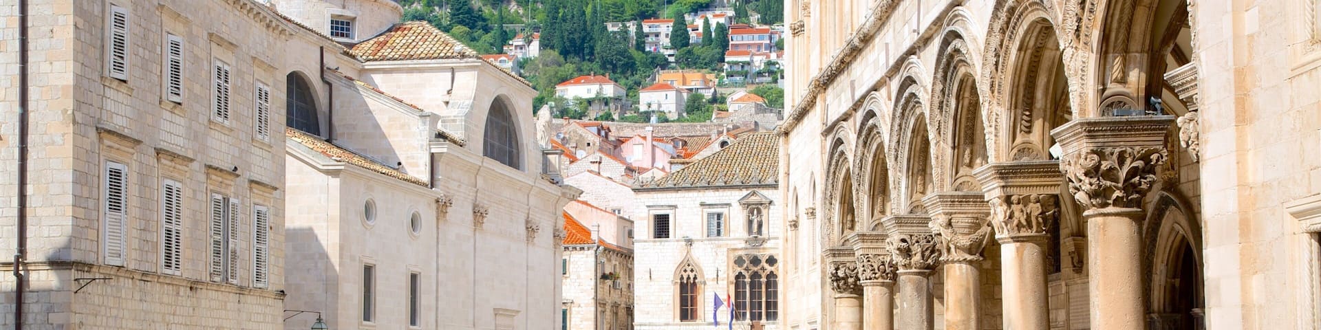 Rector\'s Palace showing heritage architecture