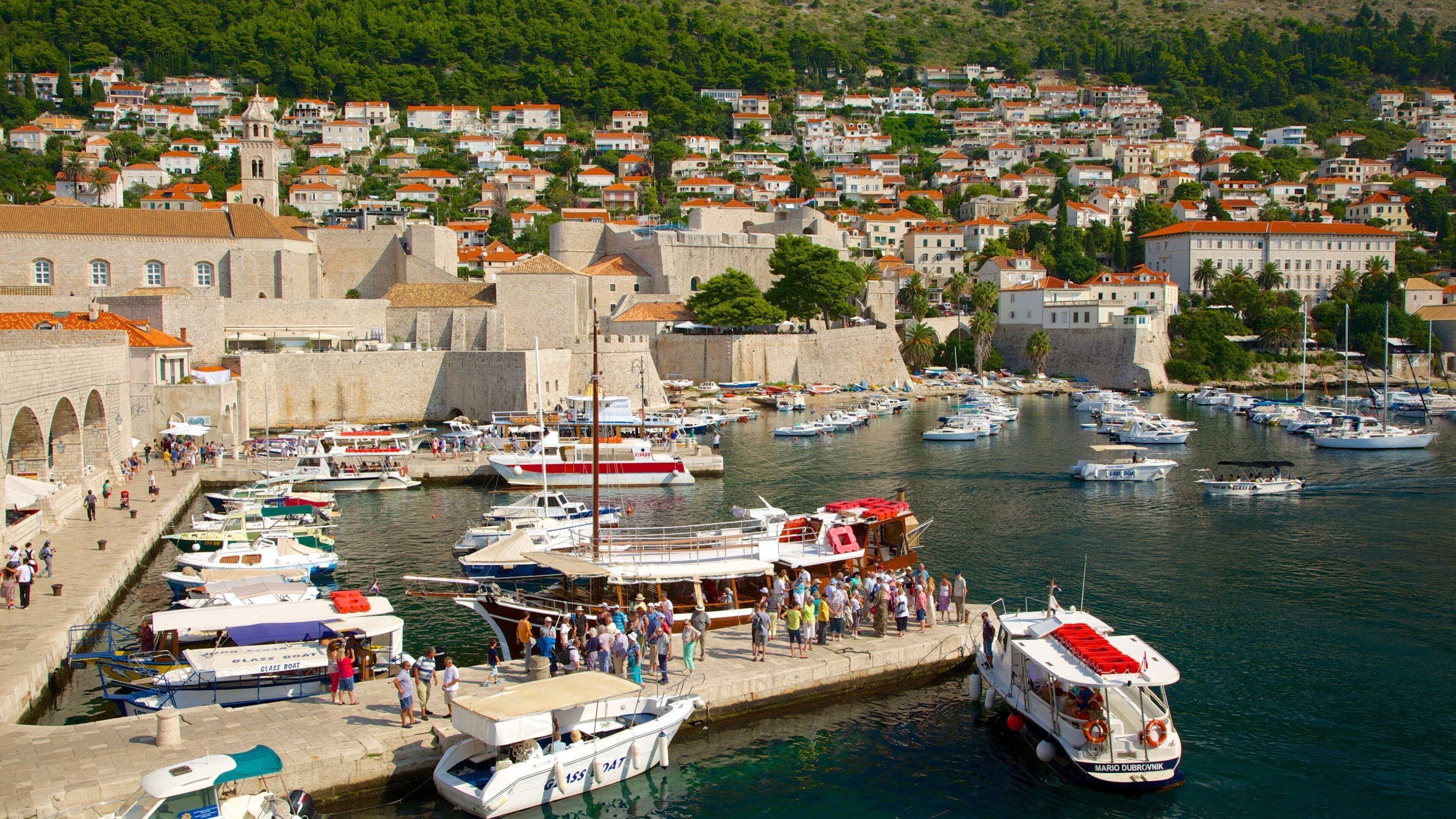 Revelin Fortress featuring a marina and a city