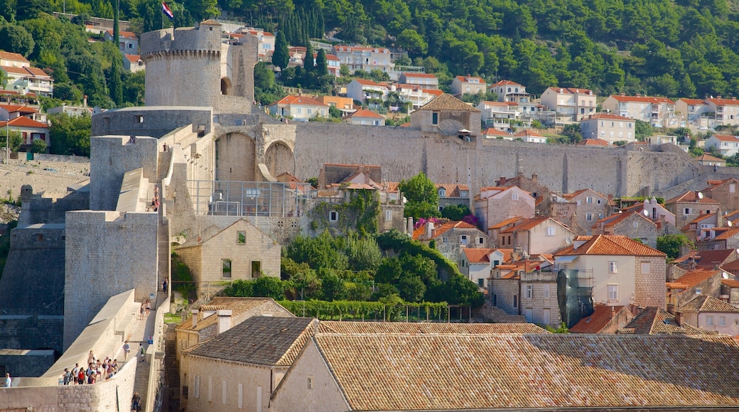 Forteresse de Minceta