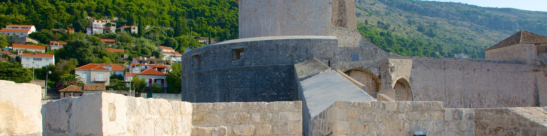 Festung Minceta welches beinhaltet historische Architektur