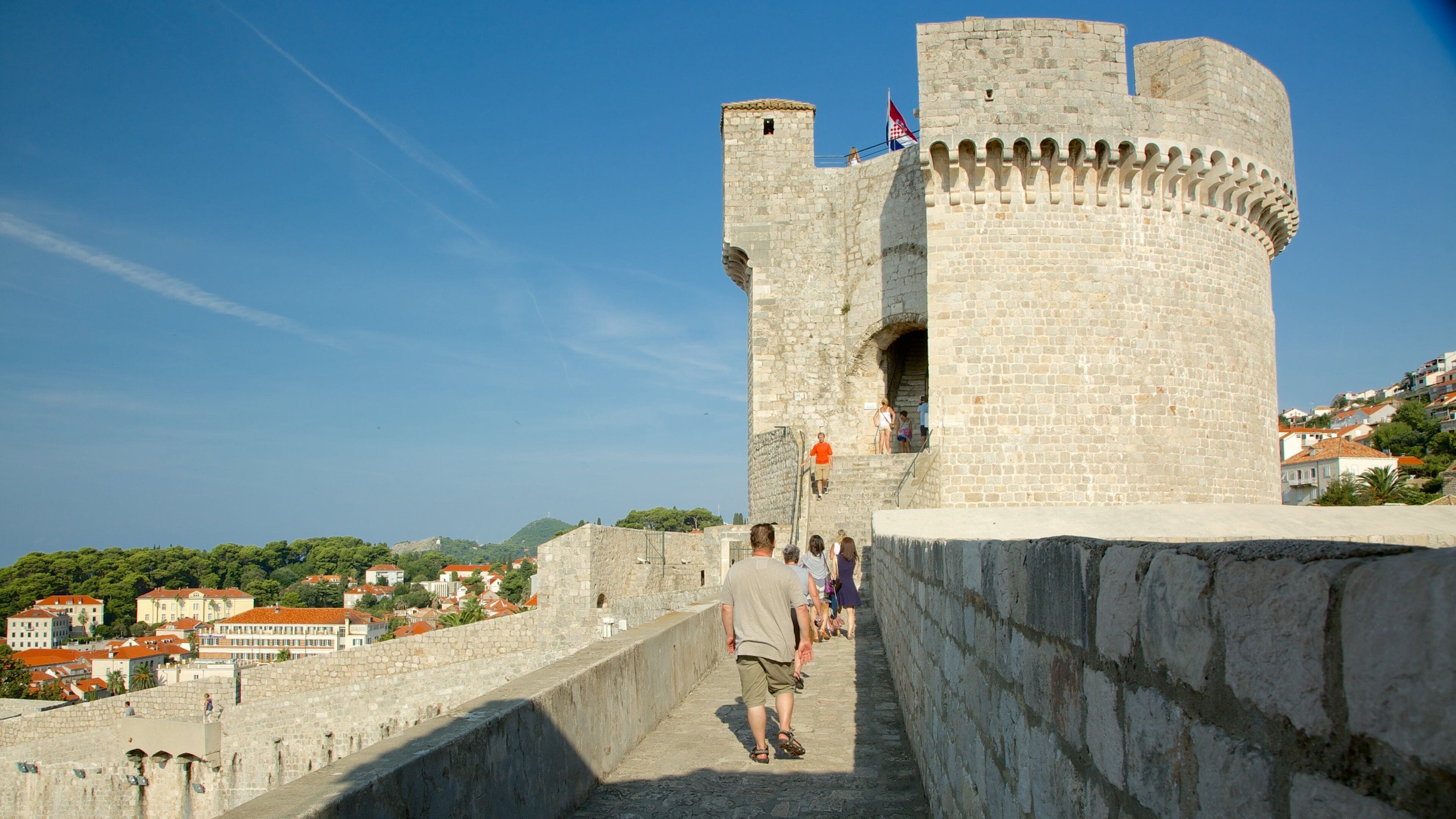 Forteresse de Minceta