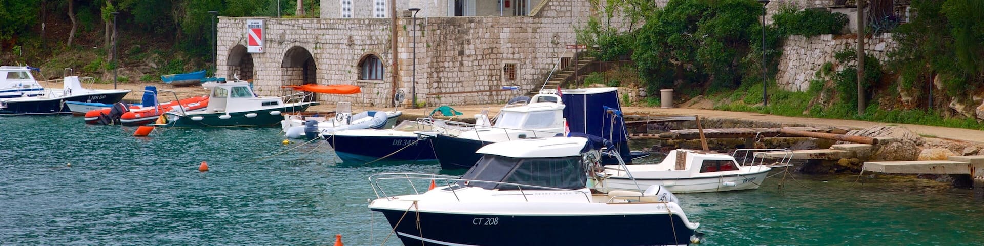 Lapad Beach showing boating and a bay or harbour