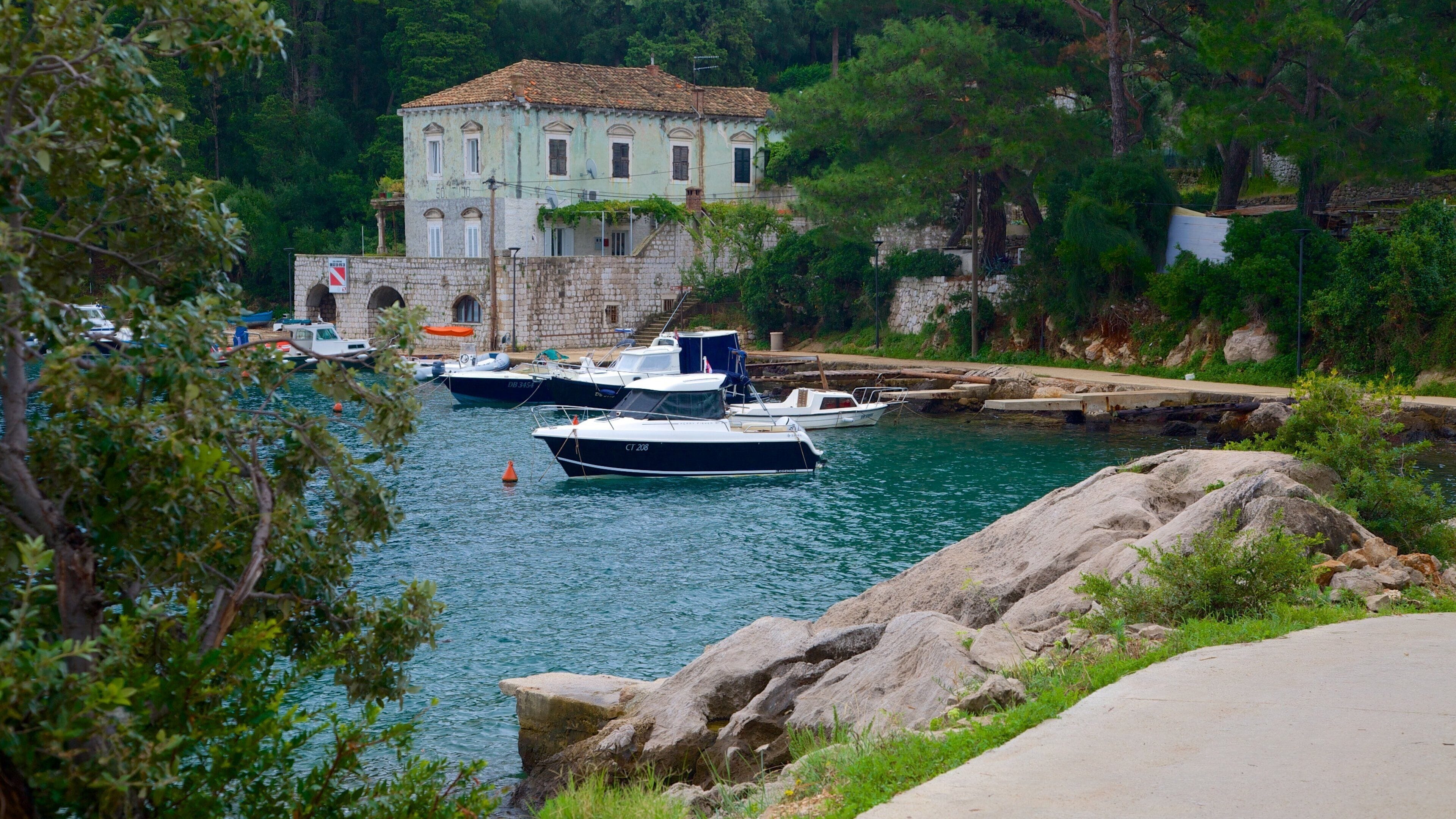 Lapad Strand som omfatter en bugt eller havn og bådsejlads