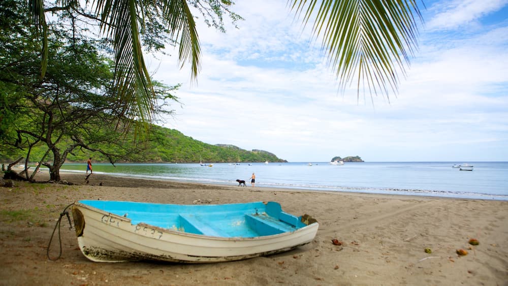 A beach with a boat, palm trees, and boats in the water.