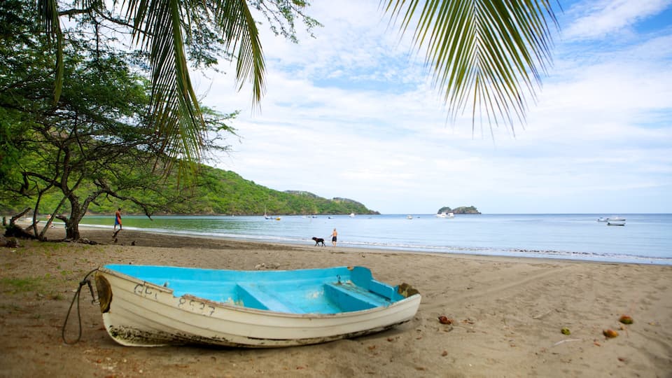 A beach with a boat, palm trees, and boats in the water.