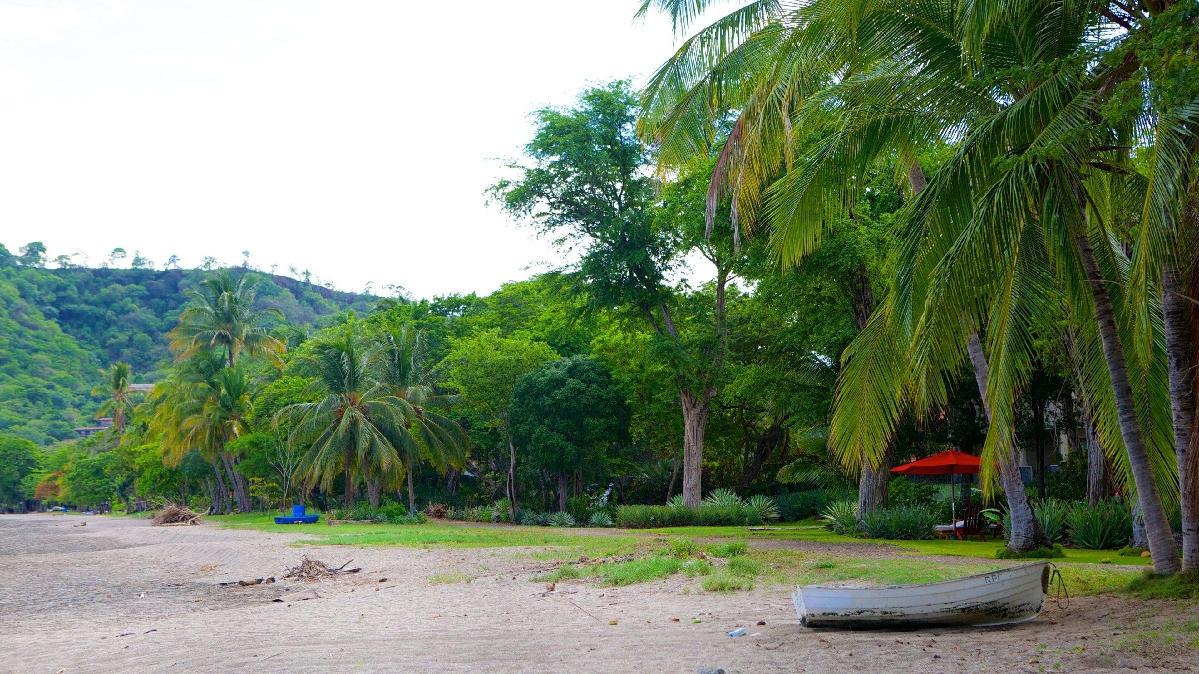 Hermosa Bay Beach showing tropical scenes and a beach