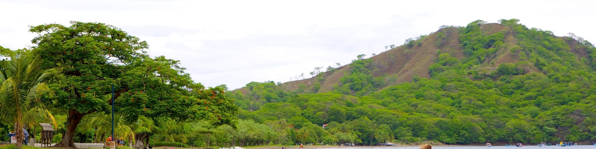 Coco Beach featuring a beach