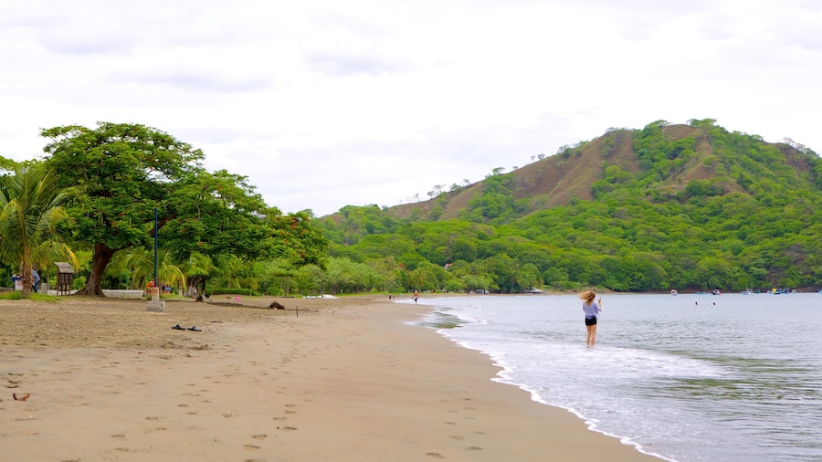 Coco Beach featuring a beach