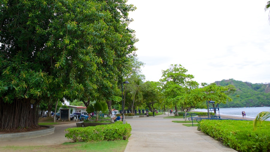 Coco Beach which includes a garden
