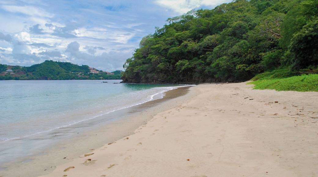 Some beach, somewhere....