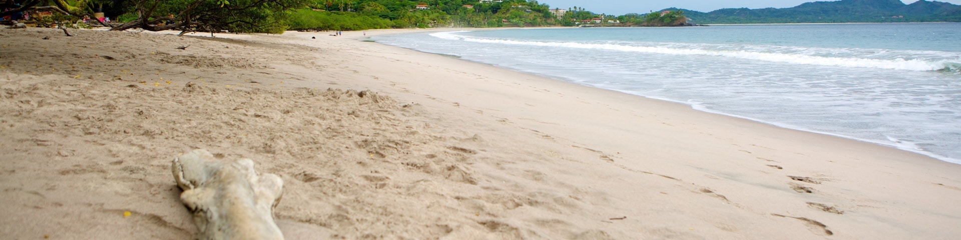 Flamingo Beach featuring a beach