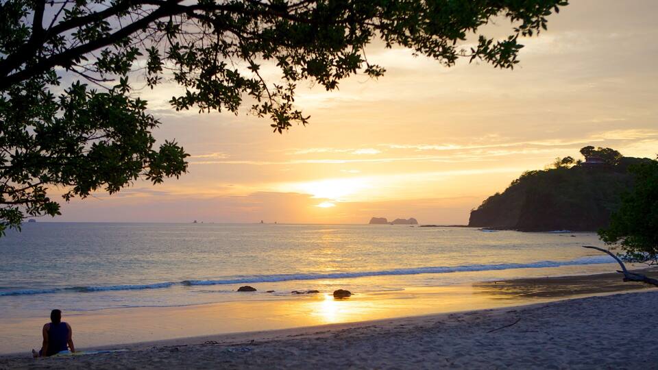 A beach at sunset with calm waters, a person sitting on the sand, and a tree in the foreground.
