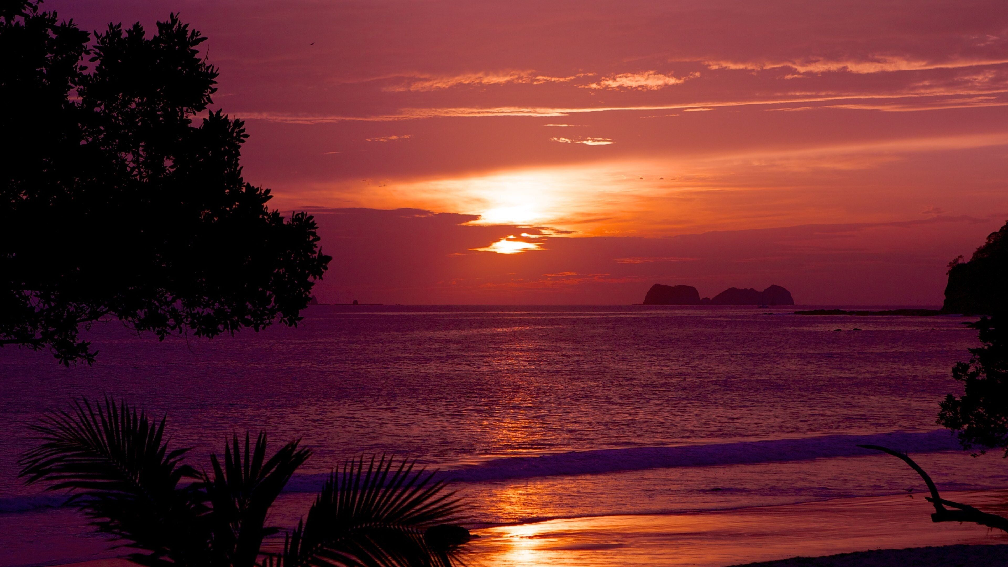 Flamingo Beach showing a sandy beach, landscape views and a sunset