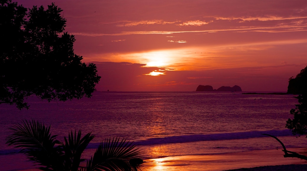 Flamingo Beach showing a sandy beach, landscape views and a sunset