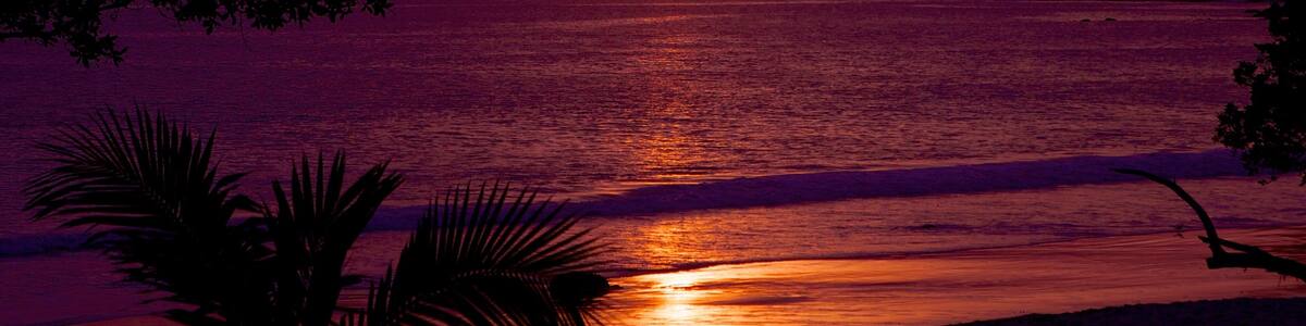 Flamingo Beach showing a sandy beach, landscape views and a sunset