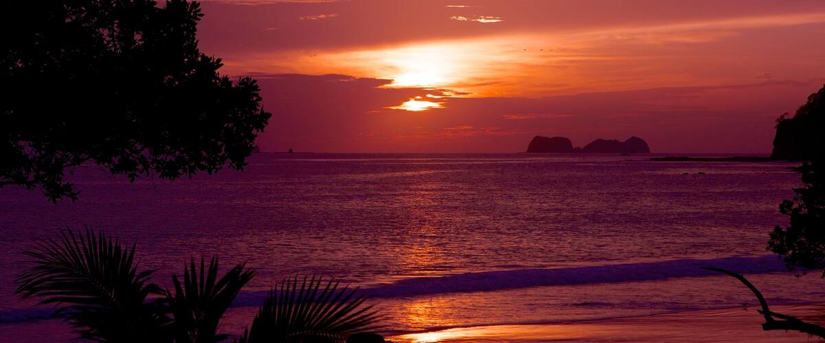 Flamingo Beach showing a sandy beach, landscape views and a sunset