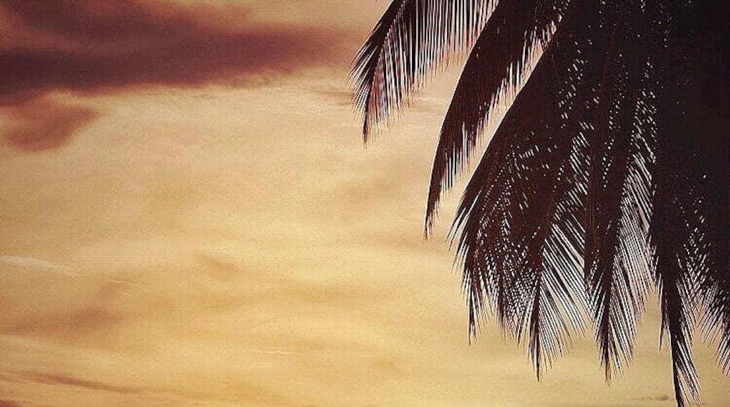 Traveling can be like a roller coaster of emotions... and then there’s that moment the roller coaster ride is over for the day. #adventure #surfing #sunset