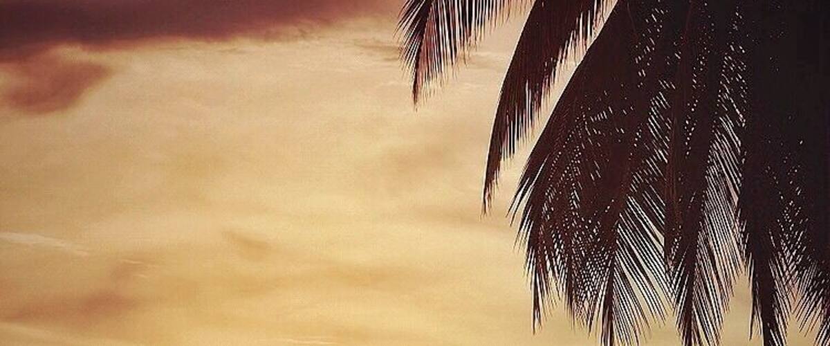 Traveling can be like a roller coaster of emotions... and then there’s that moment the roller coaster ride is over for the day. #adventure #surfing #sunset