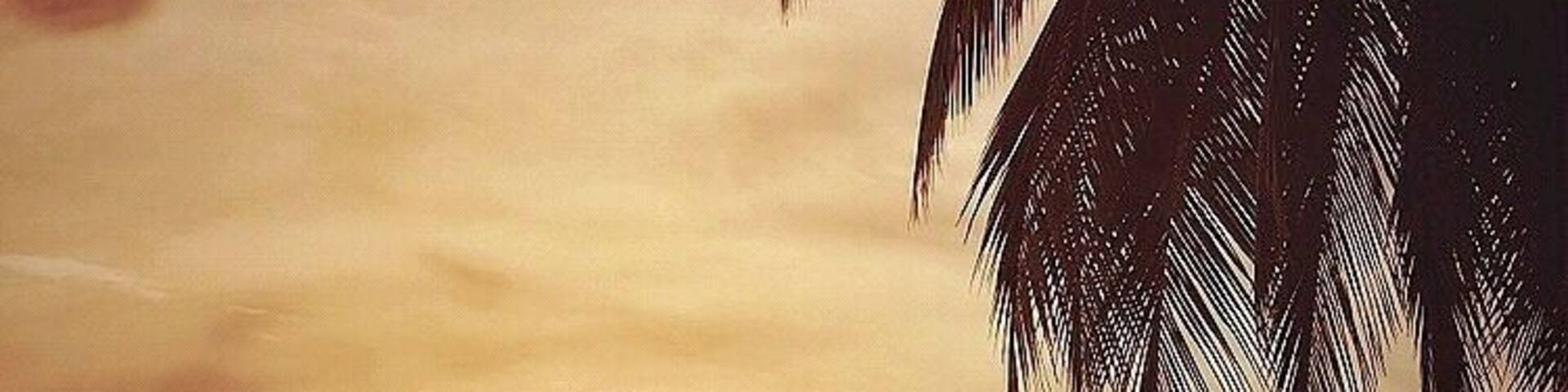 Traveling can be like a roller coaster of emotions... and then there’s that moment the roller coaster ride is over for the day. #adventure #surfing #sunset