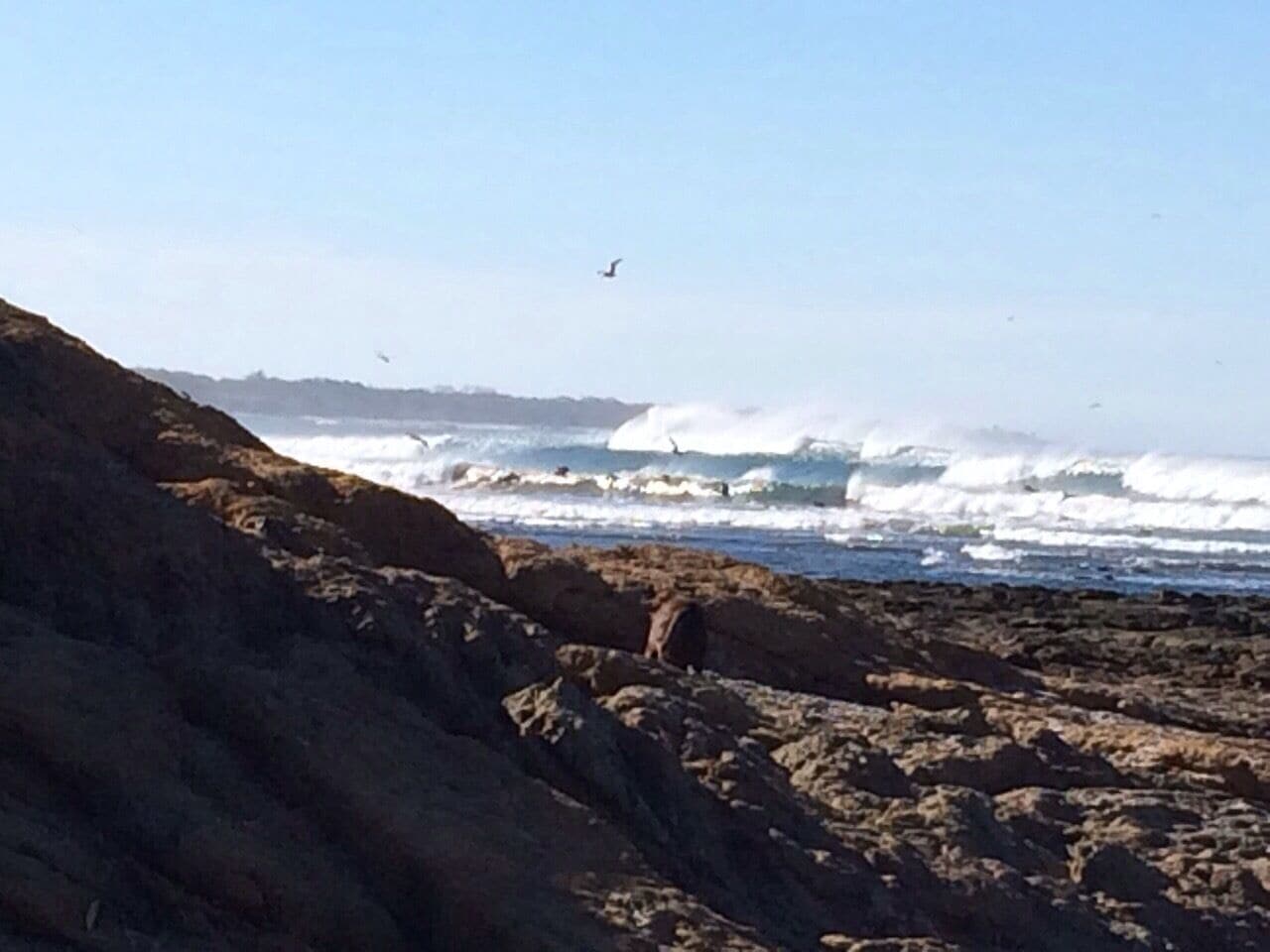 #avellanas guanacaste, Costa Rica