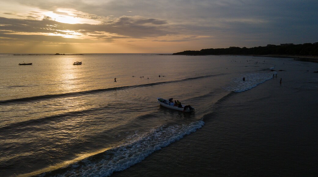 Bãi biển Avellanas