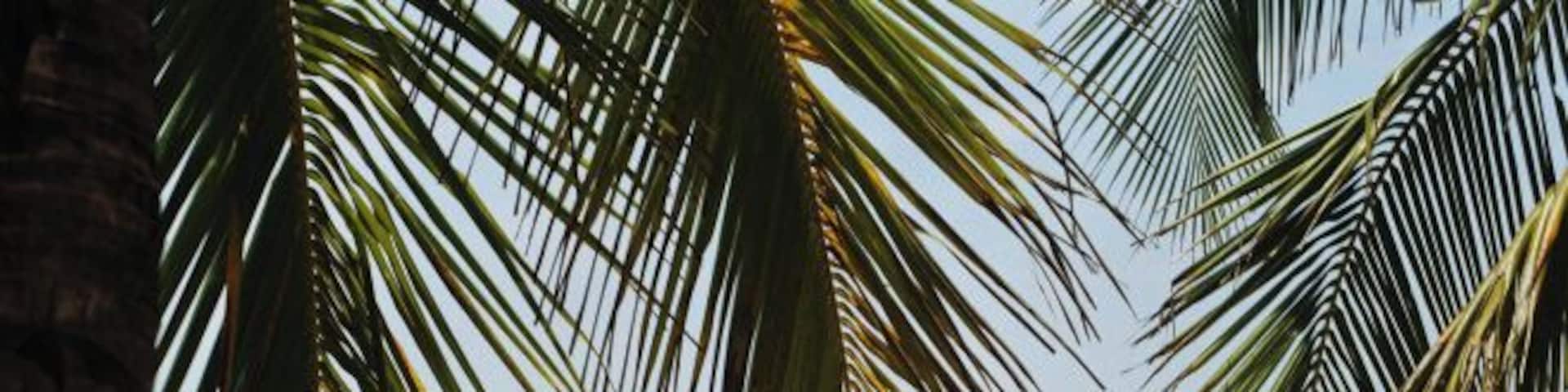 Couple walking towards sea, rear view