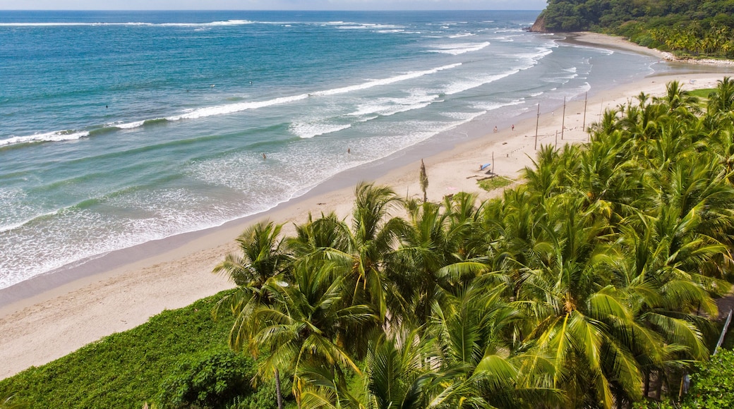 A view of the beach in samara, costa rica