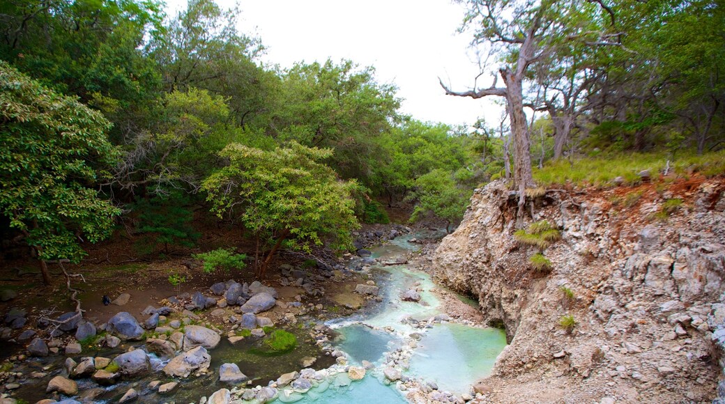 Parco Nazionale di Rincon de la Vieja caratteristiche di fiume o ruscello e paesaggio forestale