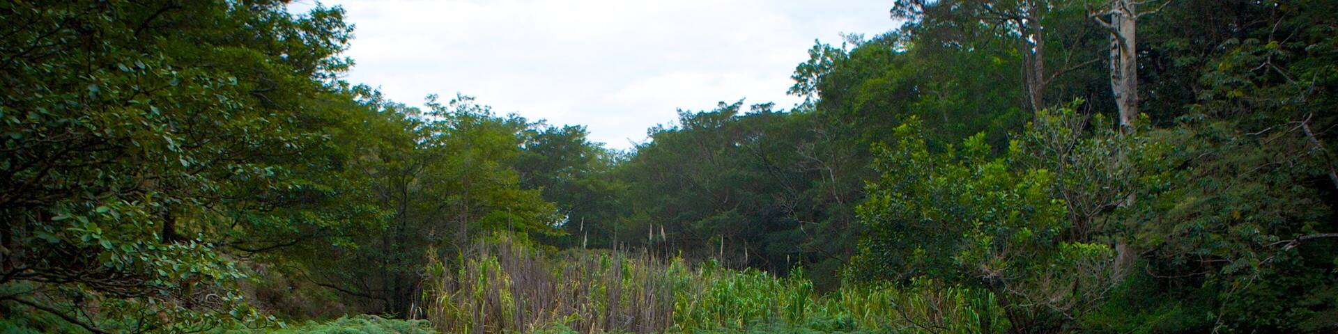 リンコン デ ラ ビエハ国立公園 フィーチャー 静かな風景