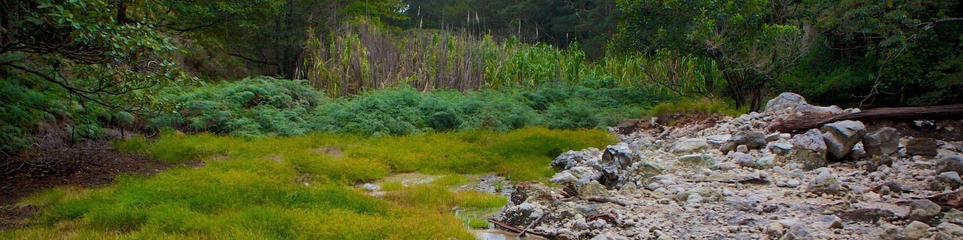 Parque Nacional Rincón de la Vieja que incluye escenas tranquilas