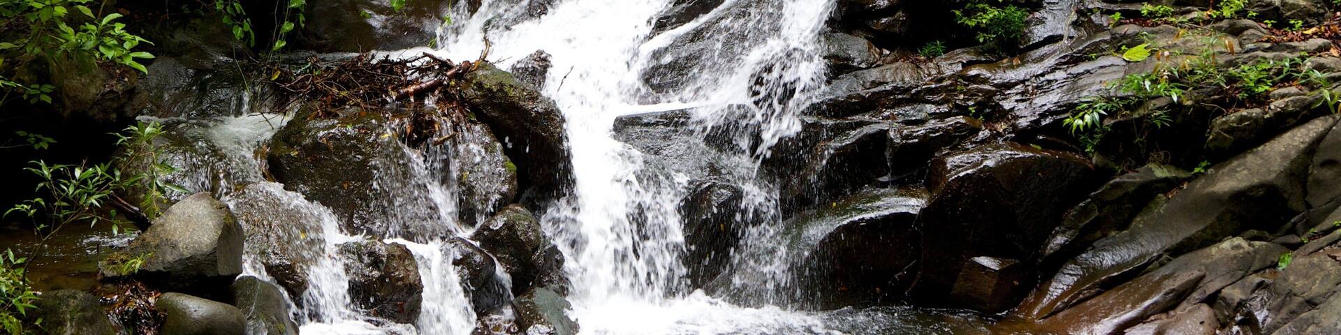 Rincon de la Vieja National Park featuring rapids and a waterfall