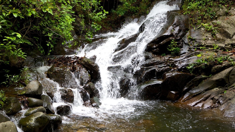 Rincon de la Vieja National Park featuring a waterfall and rapids