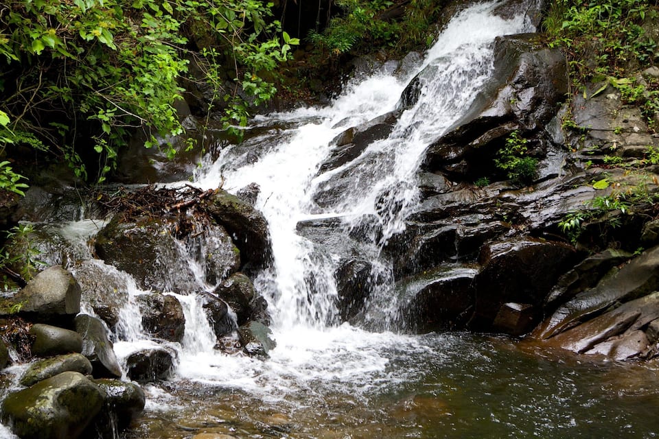 A waterfall cascading over rocks in a forested area.