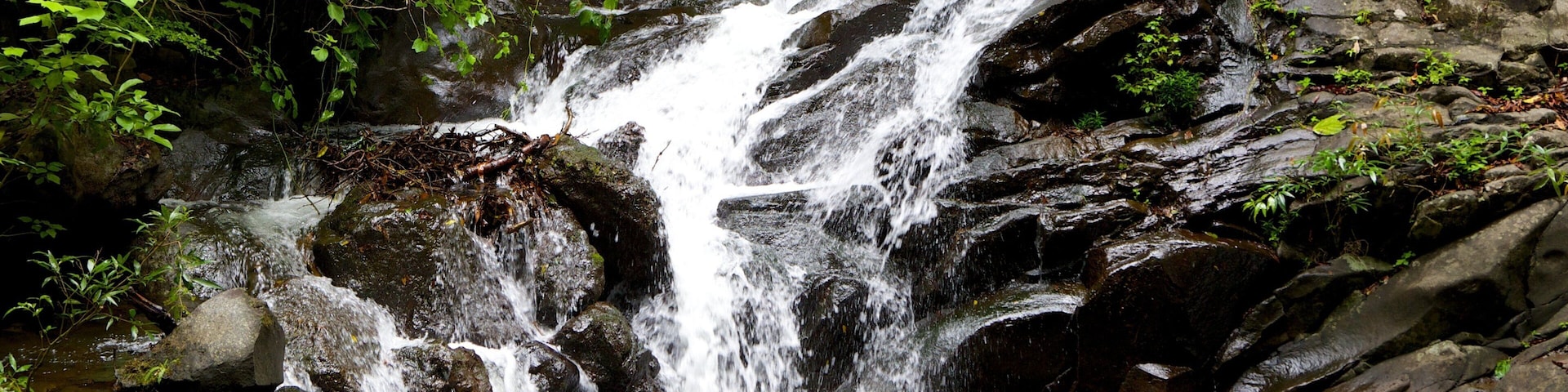 Rincon de la Vieja National Park featuring rapids and a waterfall