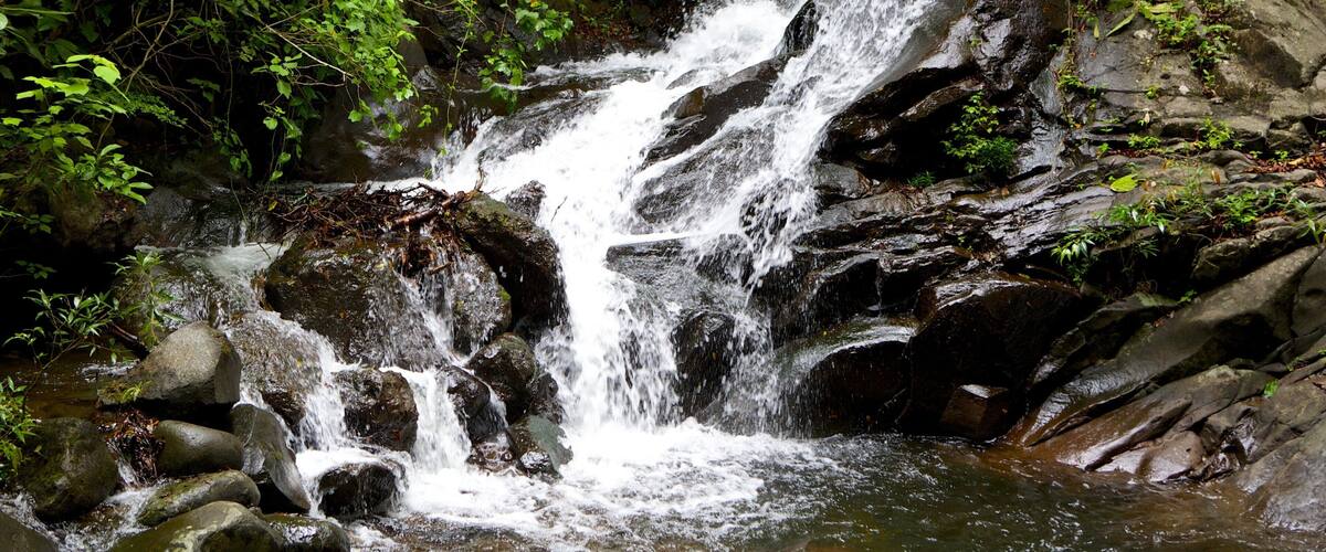 A waterfall cascading over rocks in a forested area.
