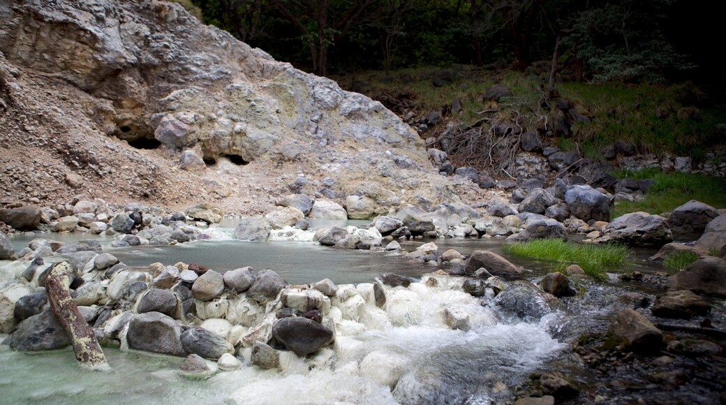 Rincon de la Vieja National Park showing a river or creek
