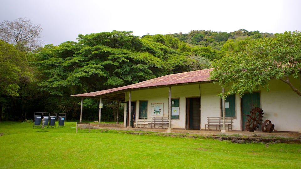 A rustic building with a corrugated metal roof, surrounded by lush green trees and grass.