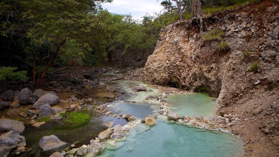 A clear stream with rocky banks and surrounding greenery.