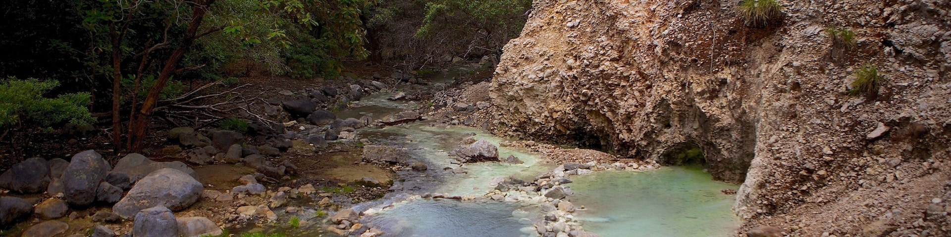 Parco Nazionale di Rincon de la Vieja mostrando fiume o ruscello