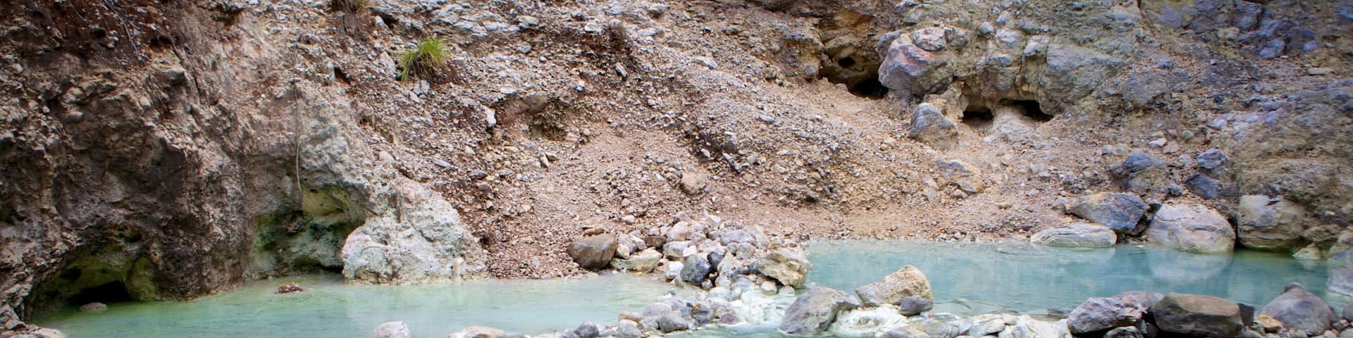 Rincon de la Vieja National Park showing a river or creek