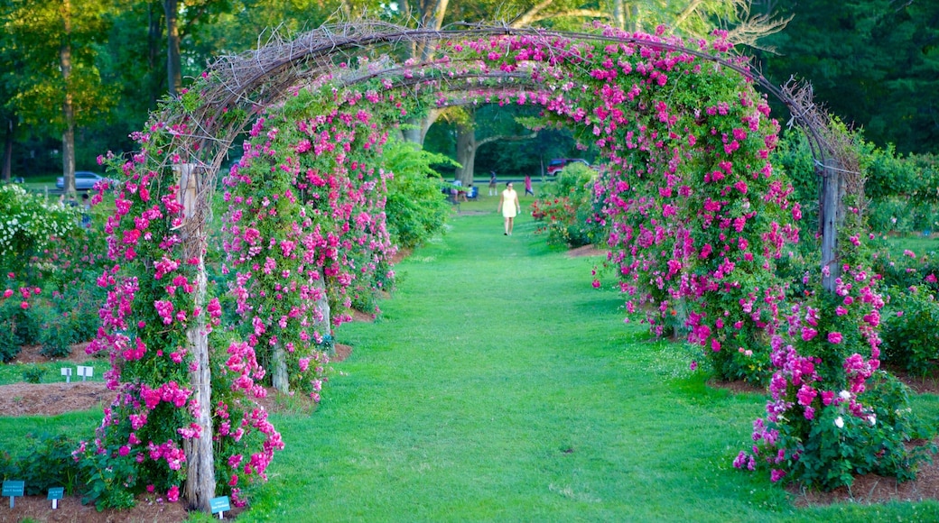 Elizabeth Park featuring wildflowers, flowers and a garden