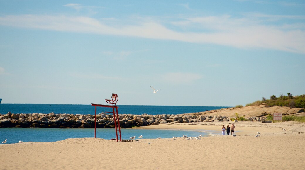 Ocean Beach Park featuring a beach