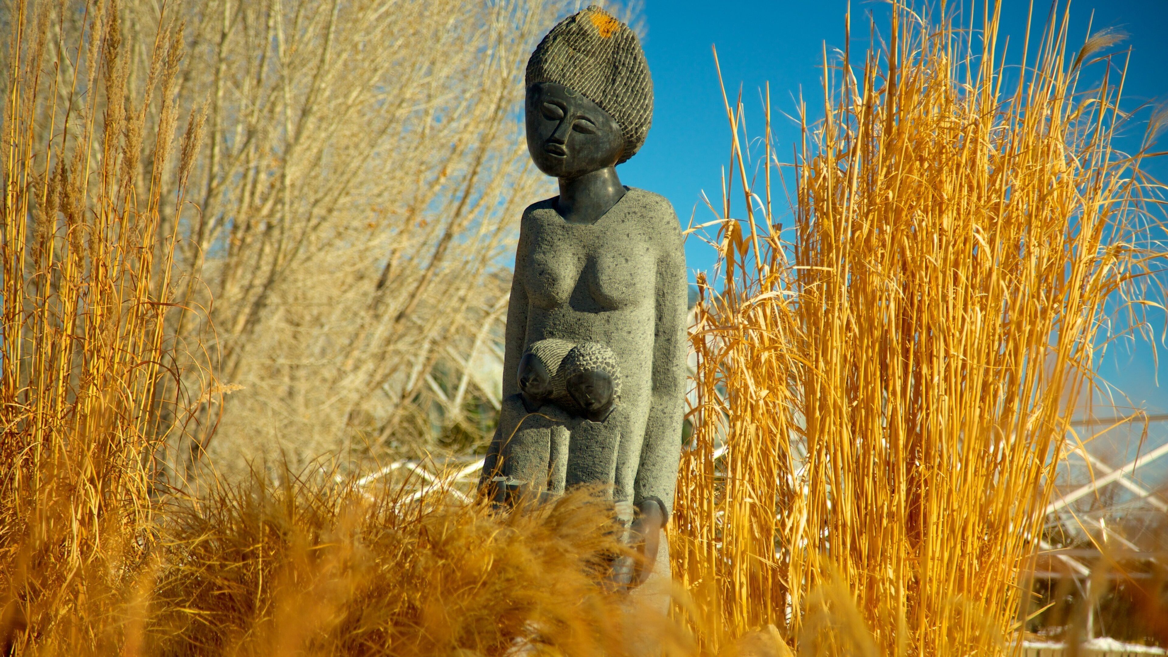 Denver Botanic Gardens showing a statue or sculpture, outdoor art and a garden